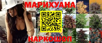 стафф Новодвинск