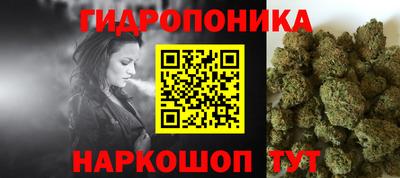 стафф Новодвинск