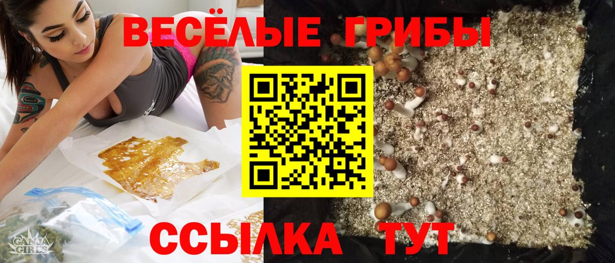 Галлюциногенные грибы Psilocybine cubensis  Галлюциногенные грибы Psilocybe  Пушкино  Вход с VPN 