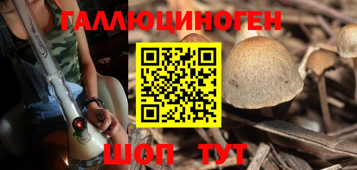 Галлюциногенные грибы ЛСД Пушкино